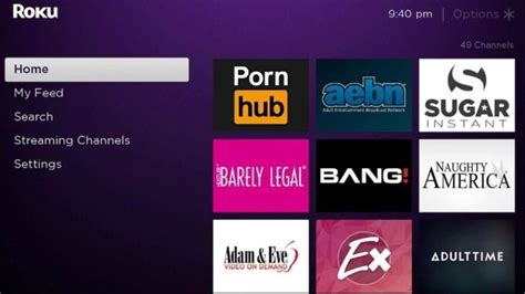 roku porn code|List of Roku Porn Channels & Apps: Best Alternatives in 2024